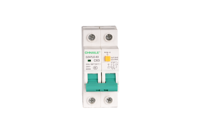 High-Capacity 2P AC RCBO Circuit Breaker 63A 6kA for Main Consumer Units & Kitchens