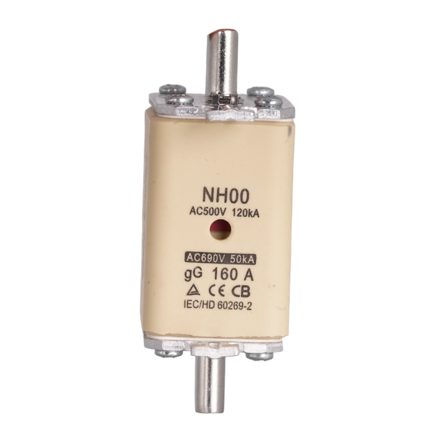 Compact GG HRC Blade Fuse Link 160A 120kA for Motor Control Centers & Sub-Panels